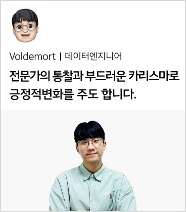 Voldmort 데이터엔지니어